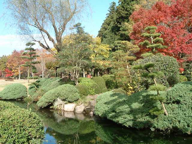 特別名勝の水戸偕楽園の庭園１６の写真の写真