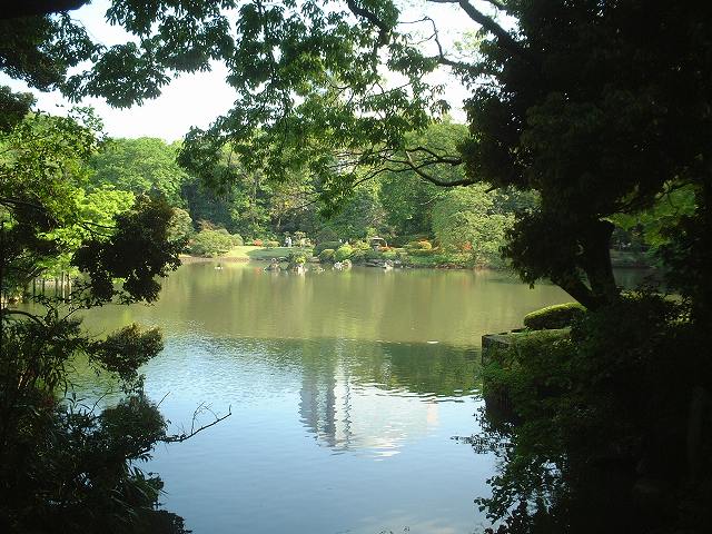 特別名勝の六義園の庭園４の写真の写真
