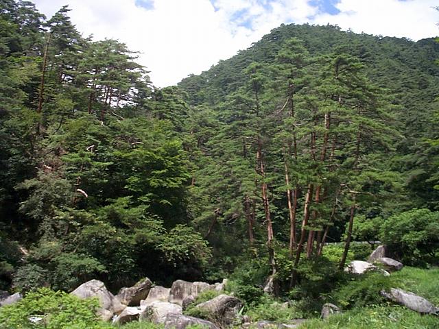 特別名勝の御岳昇仙峡３の写真の写真