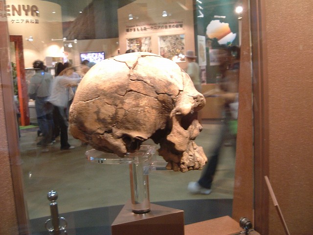 長久手会場の写真の写真