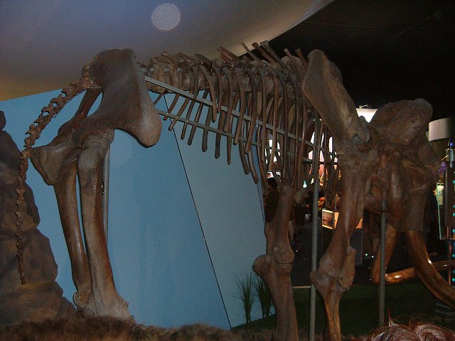 長久手会場の写真の写真