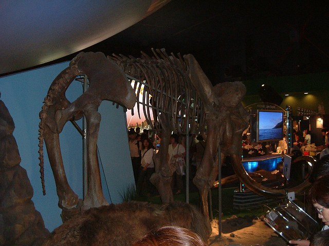 長久手会場の写真の写真