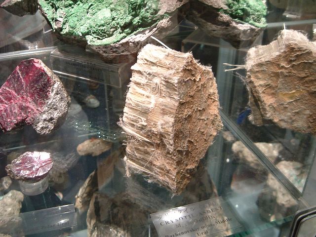 長久手会場・石綿の写真の写真