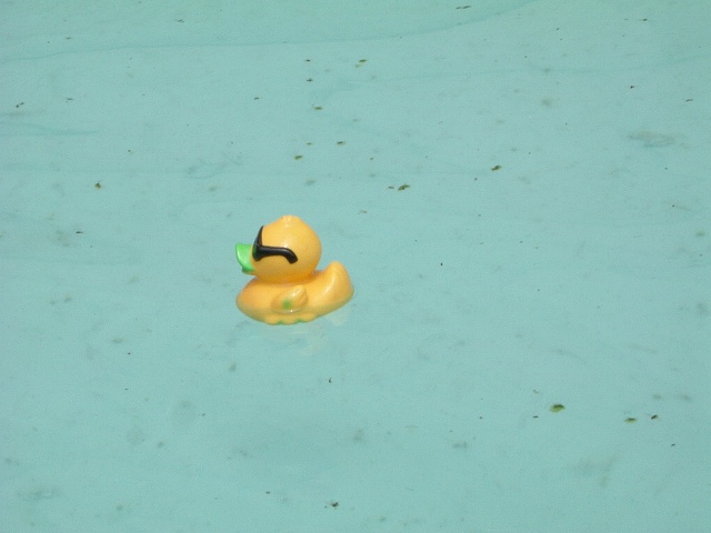 長久手会場の写真の写真