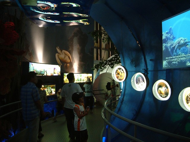 長久手会場の写真の写真