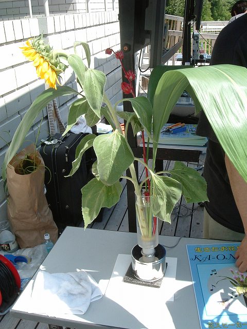 長久手会場の写真の写真