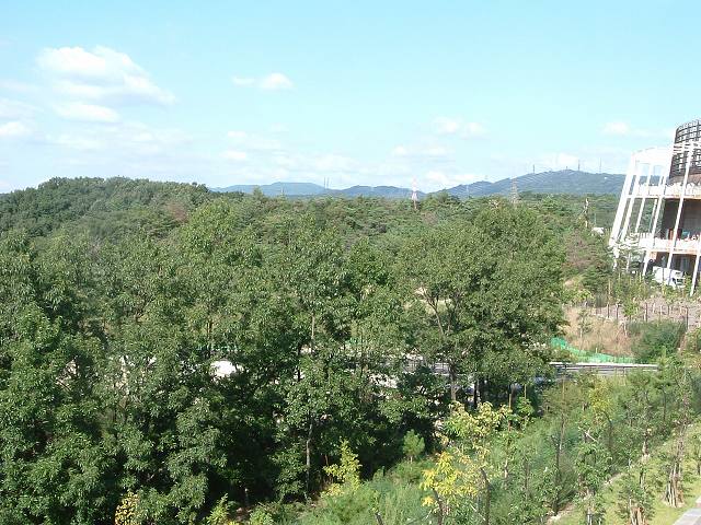 瀬戸会場の写真の写真