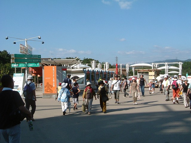 瀬戸会場の写真の写真