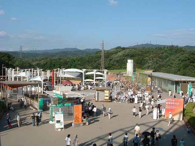 瀬戸会場の写真の写真