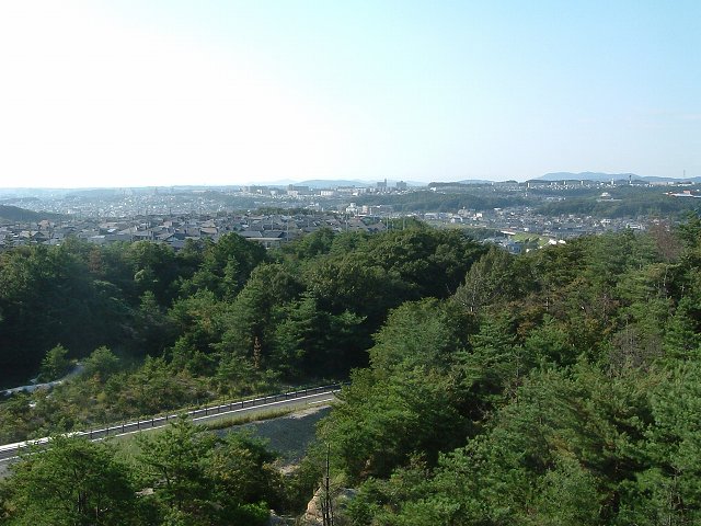 瀬戸会場の写真の写真