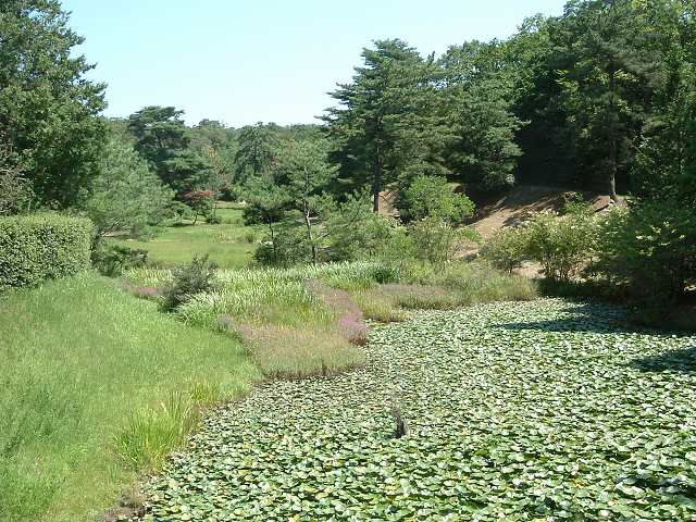 長久手会場の写真の写真