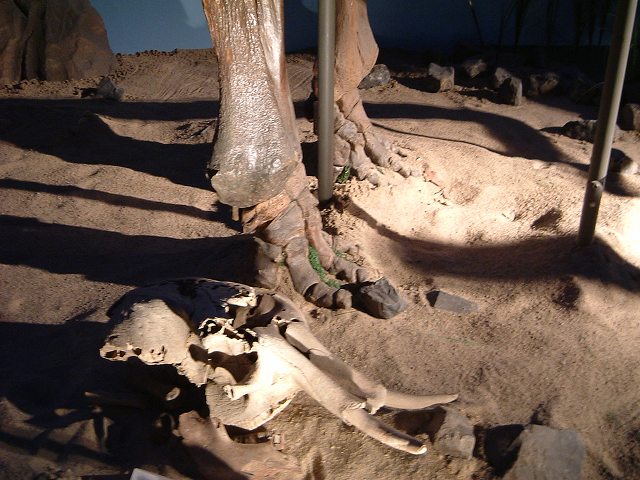 長久手会場の写真の写真