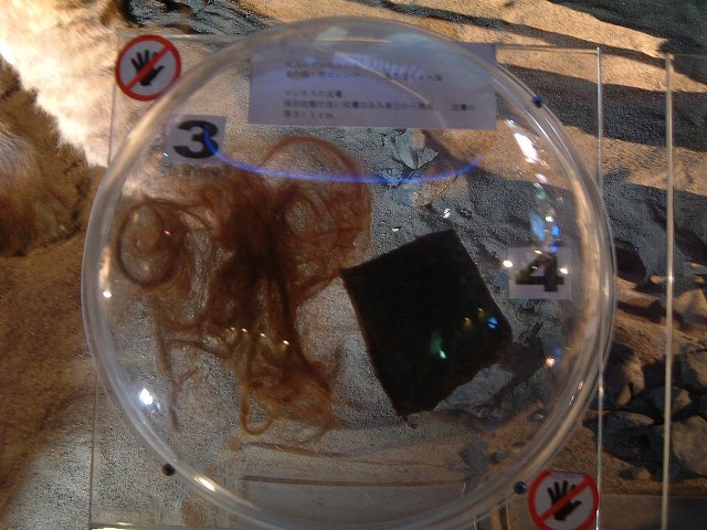 長久手会場の写真の写真