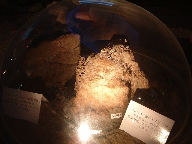 長久手会場の写真の写真