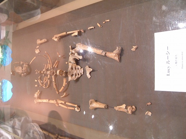 長久手会場の写真の写真