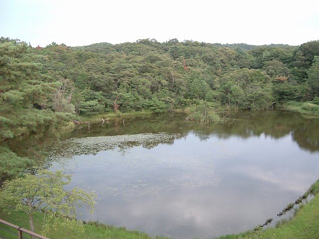 長久手会場の写真の写真