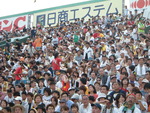 野球場・甲子園球場・ユニホームを着た熱心なファンがちらほら
