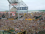野球場・甲子園球場・黄色が目立つ外野席