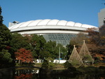 野球場・東京ドーム・白い屋根がよく見える