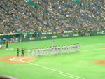 野球場・東京ドーム・阪神の整列