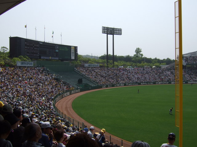 野球場・グリーンスタジアム・外野席も満員の写真の写真