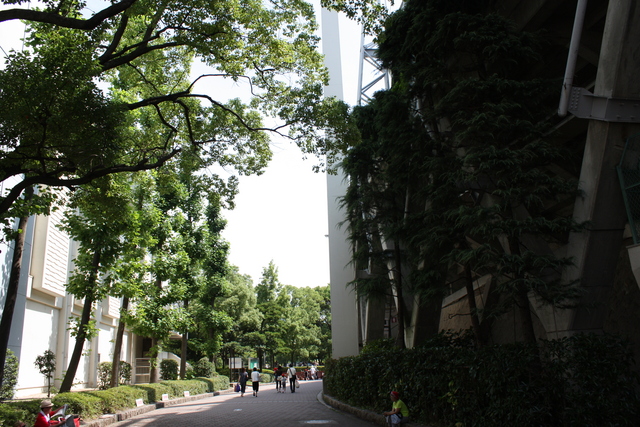 広島市民球場の写真の写真