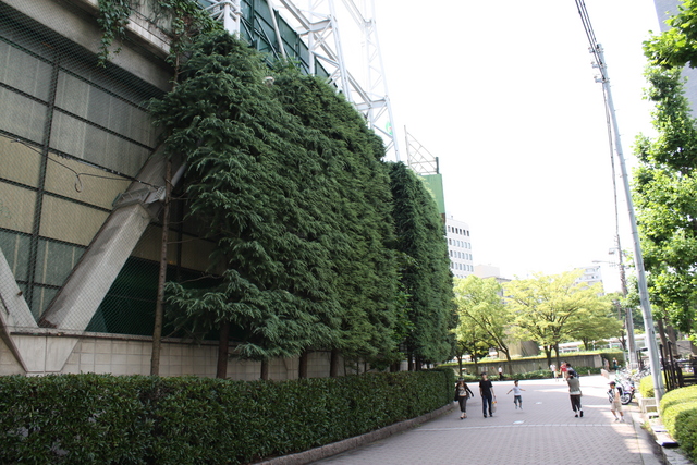 広島市民球場の写真の写真