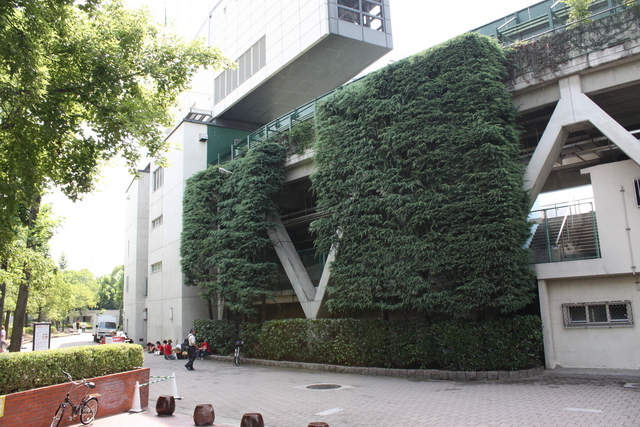 広島市民球場の写真の写真