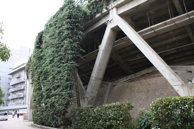 広島市民球場の写真の写真