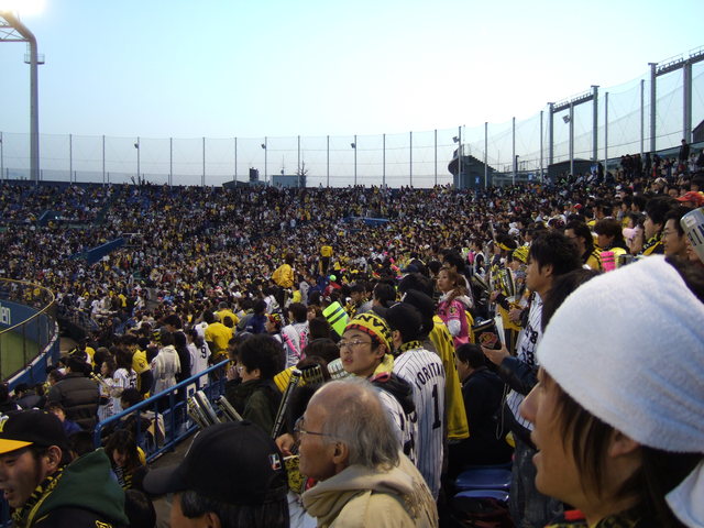 野球場・神宮球場・白熱する観客席の写真の写真