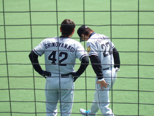 野球場・神宮球場・下柳選手と藤川選手のツーショットの写真の写真