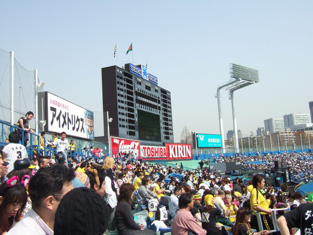 野球場・神宮球場・満員の阪神側応援席の写真の写真