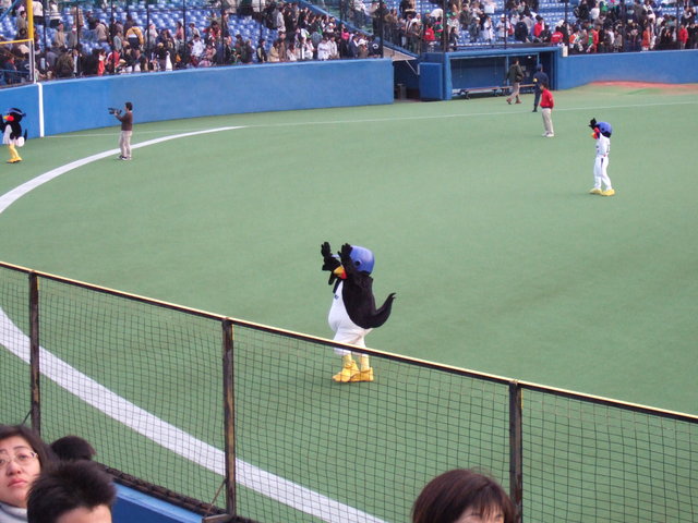 野球場・神宮球場・頑張るつば九郎の写真の写真