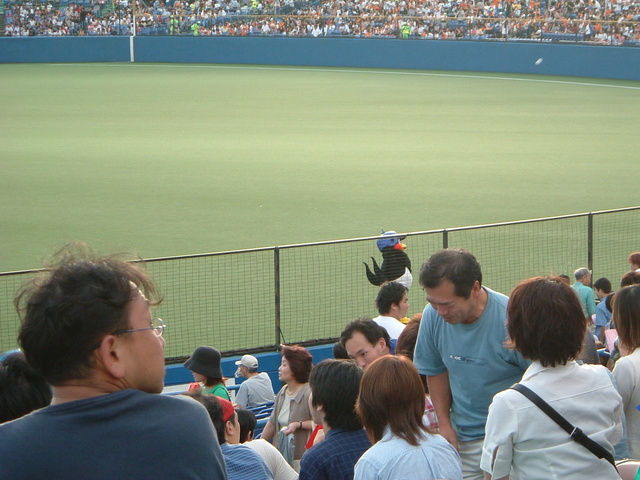 野球場・神宮球場・つばみちゃんのパフォーマンスの写真の写真