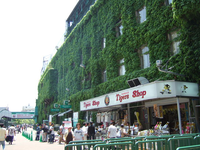 野球場・甲子園球場・球場と一体になったグッズ売り場の写真の写真