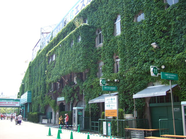 野球場・甲子園球場・三塁側方向の写真の写真