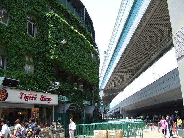 野球場・甲子園球場・首都高速のすぐ隣にある阪神タイガースの本拠地の写真の写真