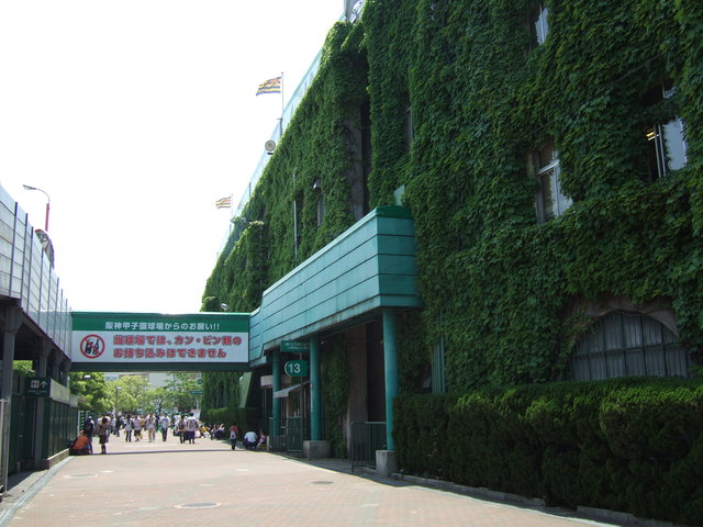 野球場・甲子園球場・ツタがどこまでも続くの写真の写真