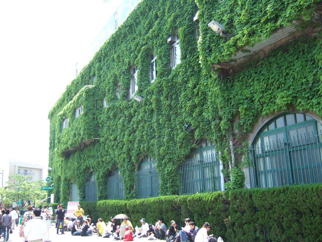 野球場・甲子園球場・開場時間を待つ熱心なファンの写真の写真