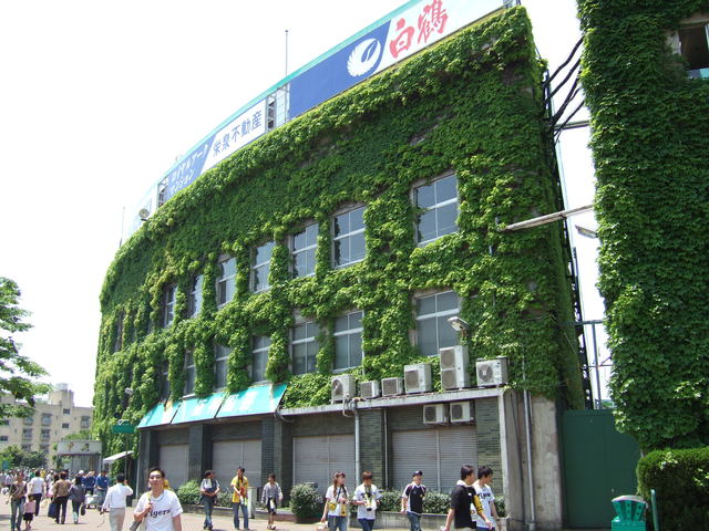野球場・甲子園球場・球場自体はいくつかの建物に分かれているの写真の写真