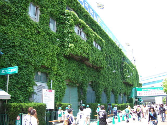 野球場・甲子園球場・賑わいを見せる場外の写真の写真