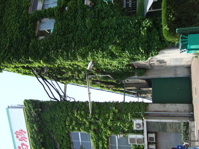 野球場・甲子園球場・アルプス席と外野席の境目の写真の写真