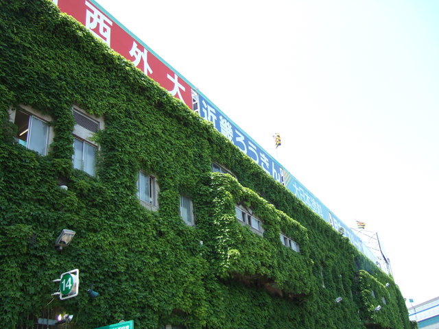 野球場・甲子園球場・球場外に向けての屋外看板の写真の写真