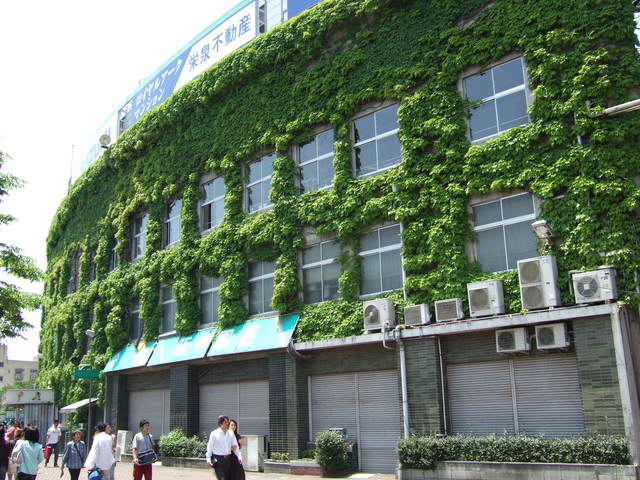 野球場・甲子園球場・円筒形のビルの写真の写真