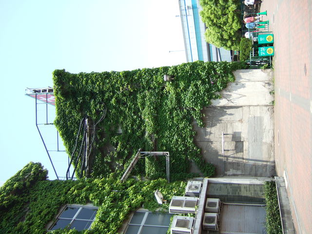 野球場・甲子園球場・アルプス席の建物と外野席の建物の写真の写真