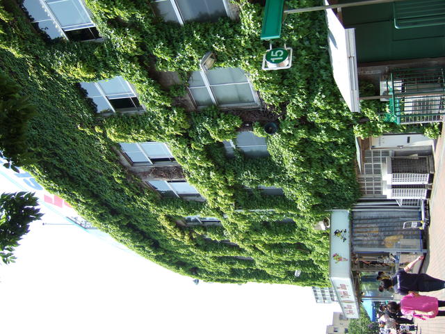 野球場・甲子園球場・15番ゲート付近の写真の写真