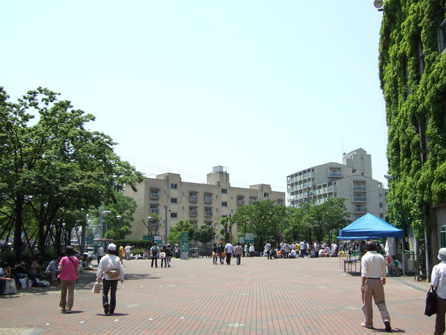 野球場・甲子園球場・さすがにこの時間は人気がまばらの写真の写真