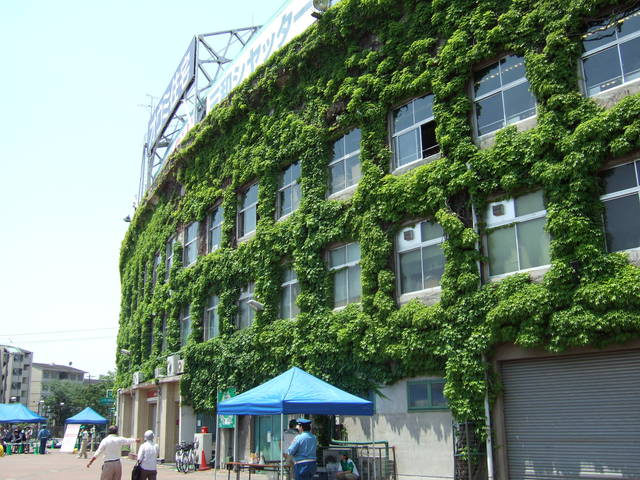 野球場・甲子園球場・日差しが強いの写真の写真