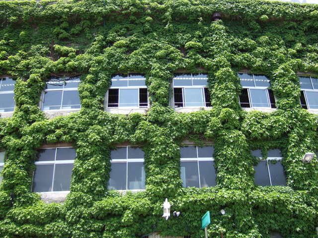 野球場・甲子園球場・さすがに窓のところにはツタがないの写真の写真