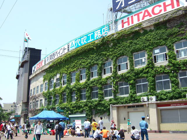 野球場・甲子園球場・こちら側にも続くツタの写真の写真